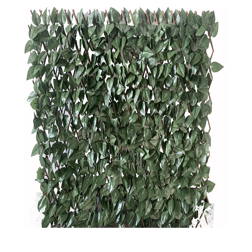 Estensibile in salice con foglie lauro - H. 100   L. 200 cm