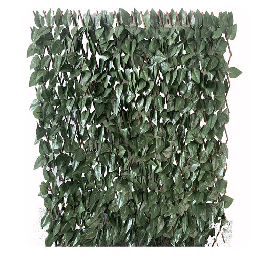 Estensibile in salice con foglie lauro - H. 100   L. 200 cm